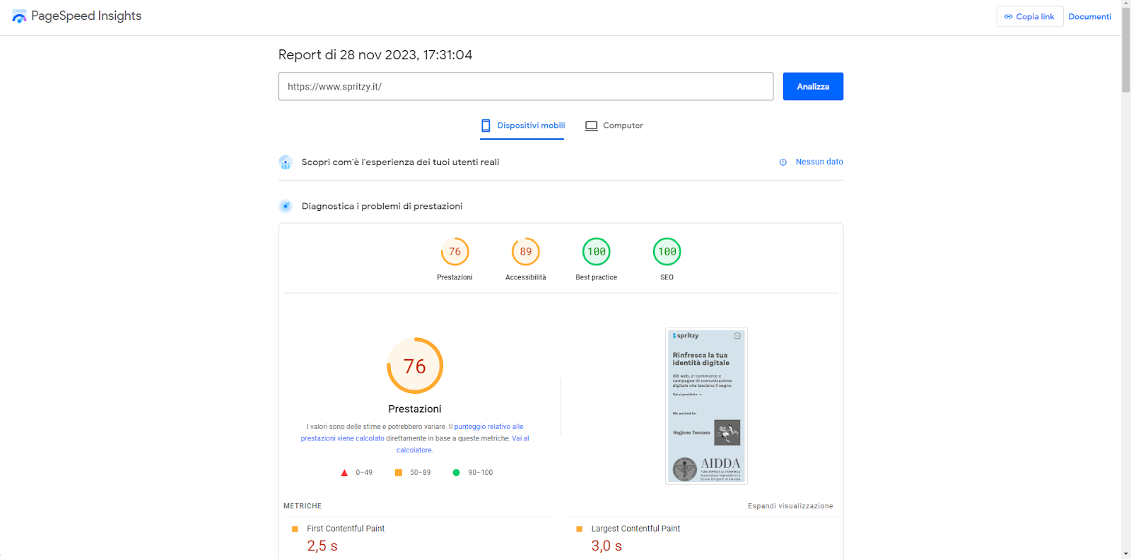 Test SEO Page speed insight