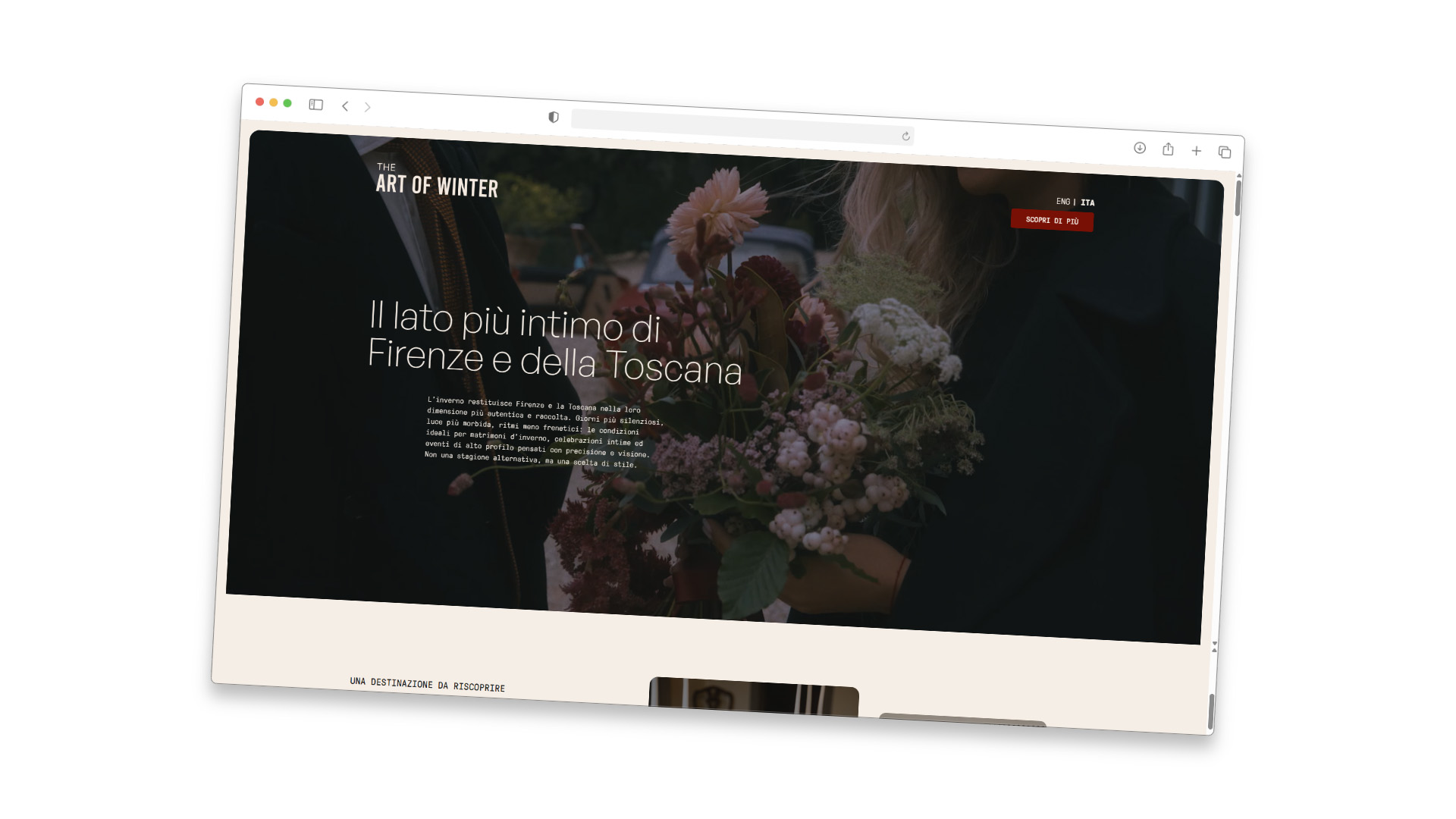 the art of winter website
